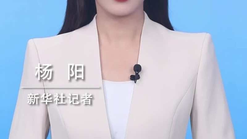 数字化解决方案采购合同：关键条款与风险防范**